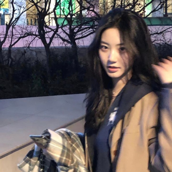 东方卫视月光露营会